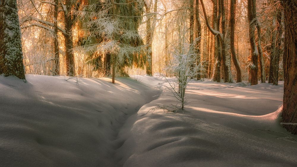 Photograph by Никитинский Александр