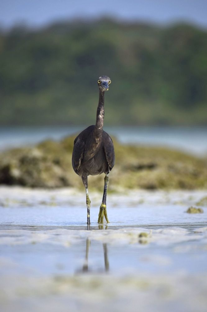 Photograph by Suresh Kumar