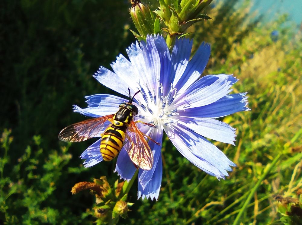 Photograph by Роман Межерицкий