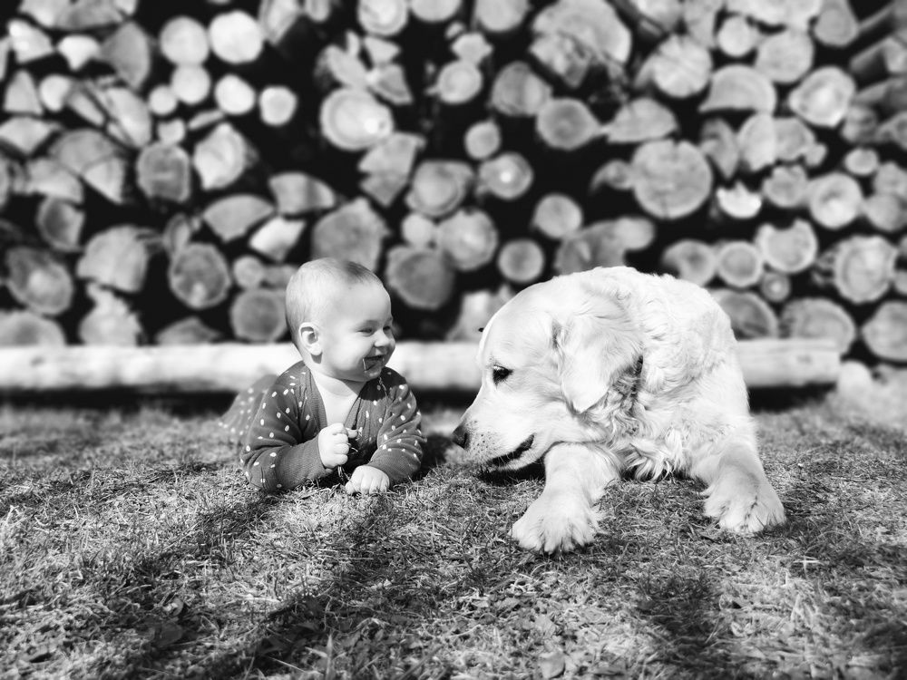 Photograph by Růžena Suchánková