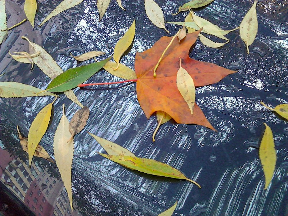 Фотография автора Valiantsina Sivakova