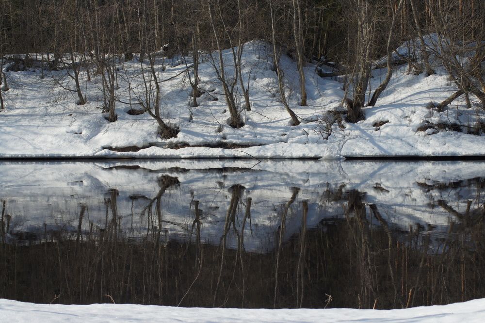 Photograph by Людмила Щепилова