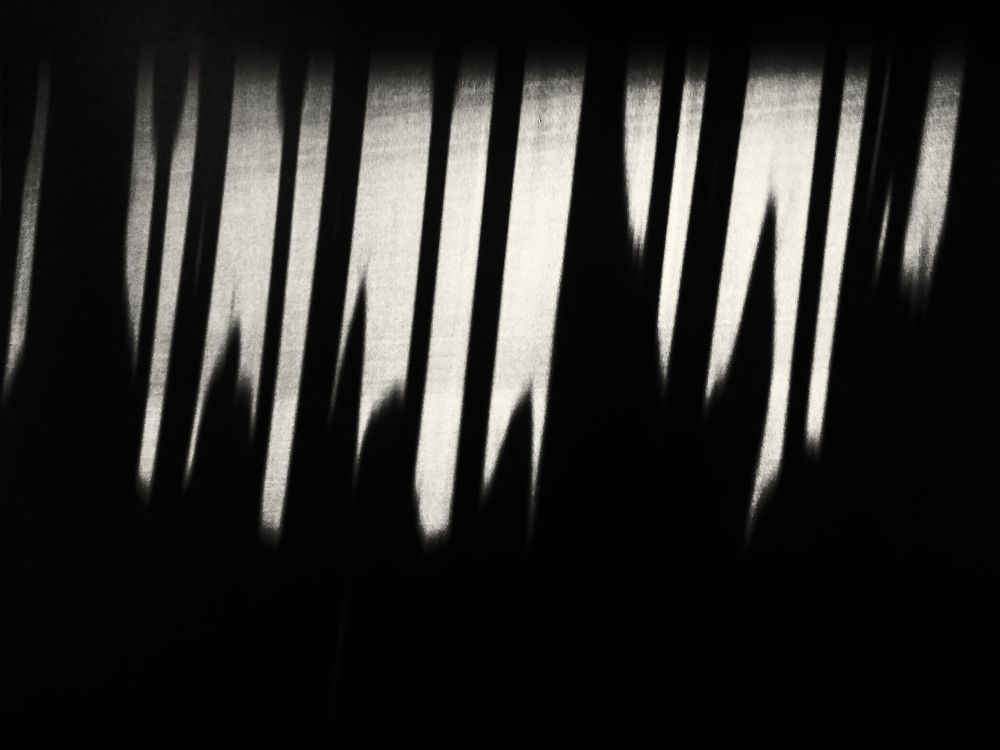 Photograph by Виталий Павлов