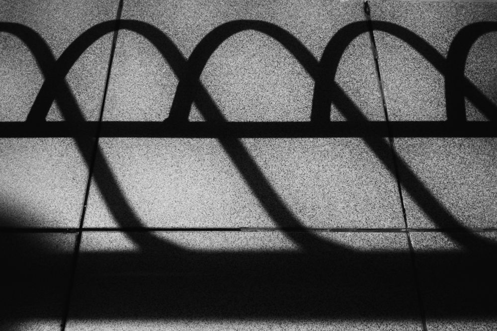 Photograph by Виталий Павлов