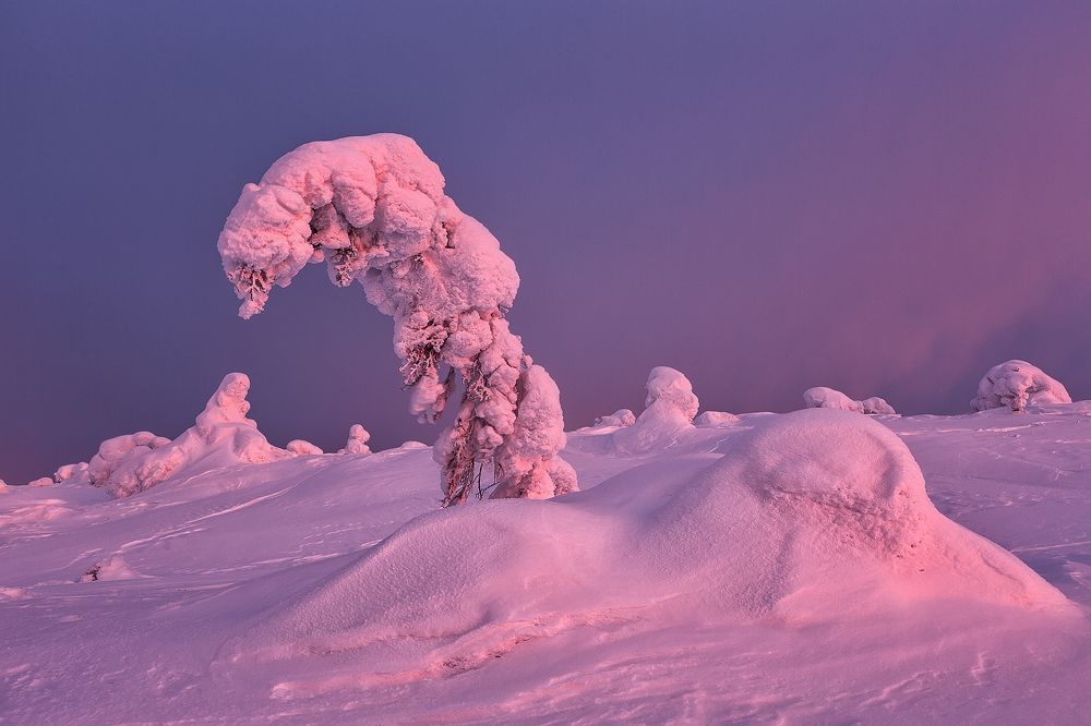 Доброе утро