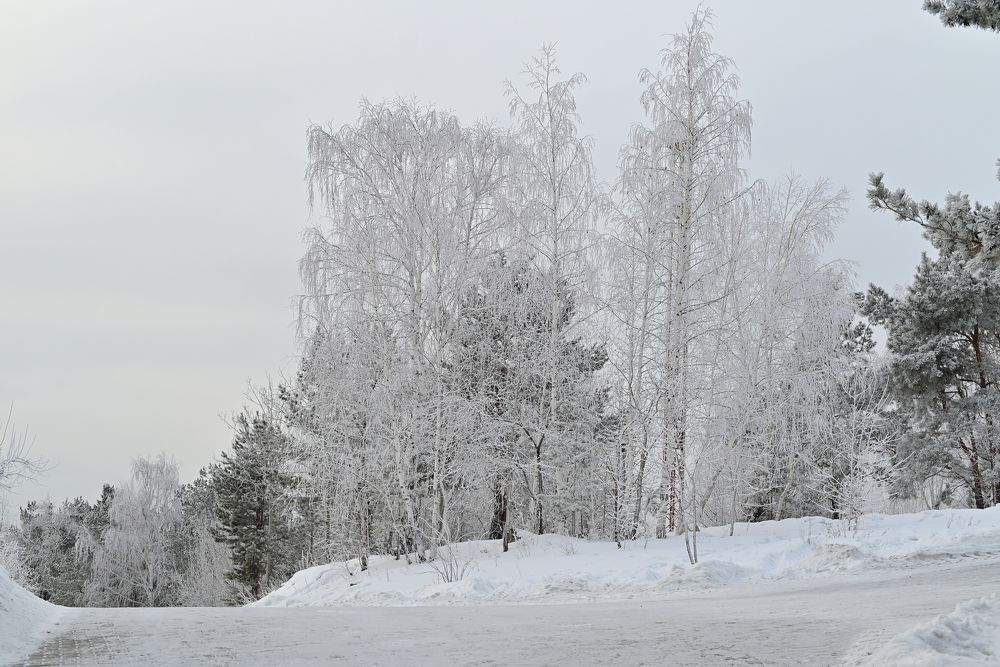 Photograph by Юлия Козельских
