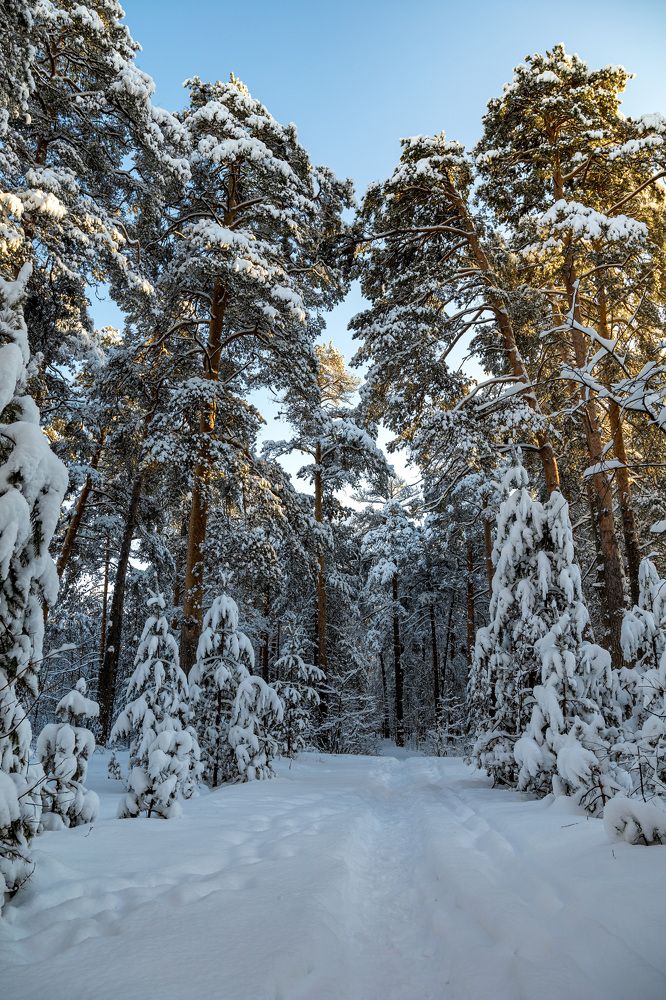 Photograph by Владимир Карпов