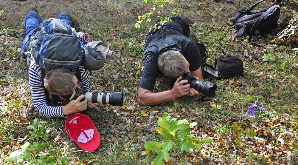 Photograph by Евгений Самулев