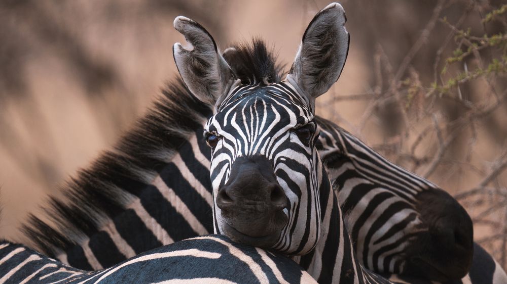 Photograph by Khazov Artem