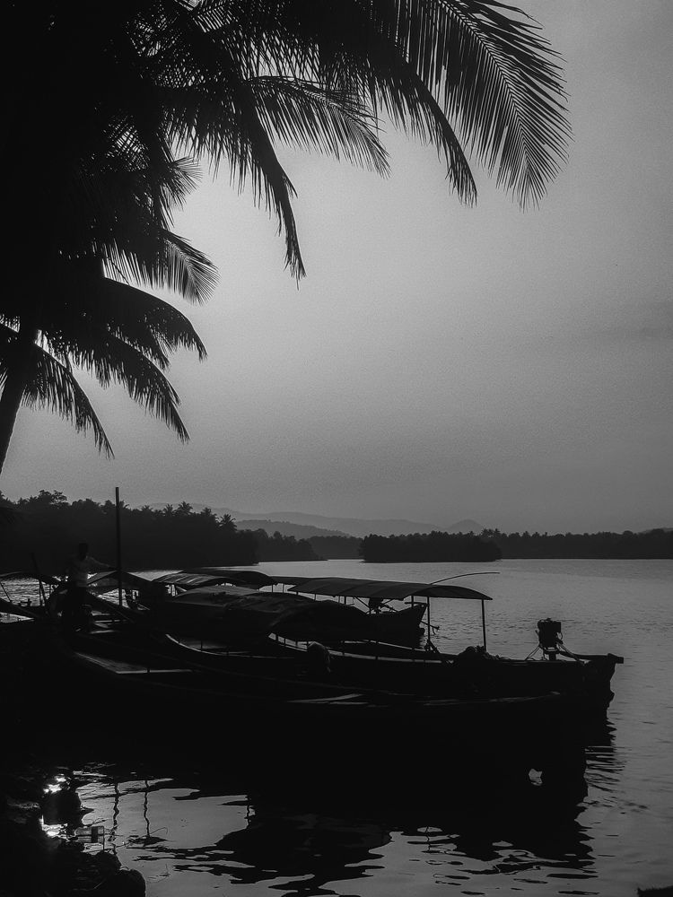 Photograph by Rajath Amith Deshpande