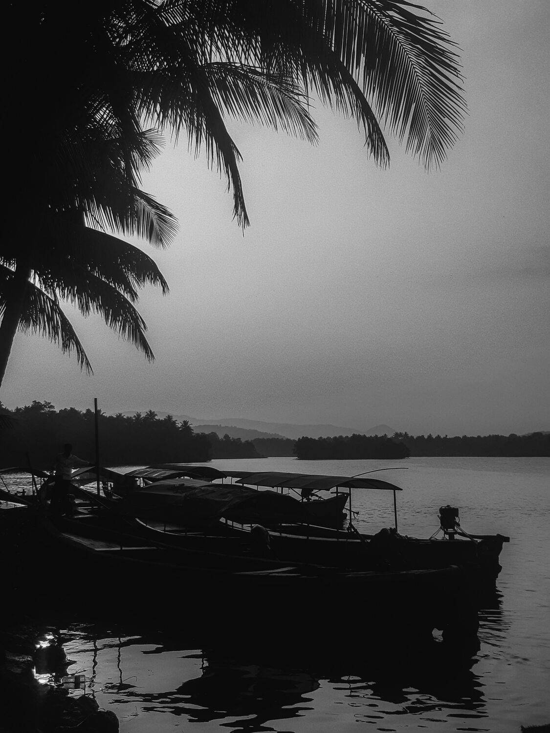 Photo #8572841
