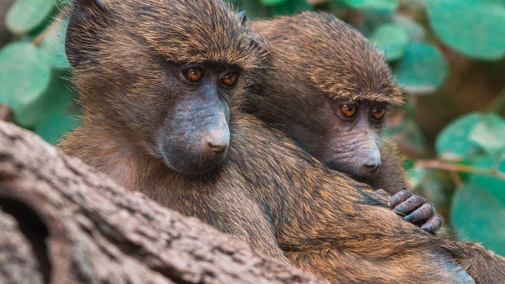 Photograph by Khazov Artem