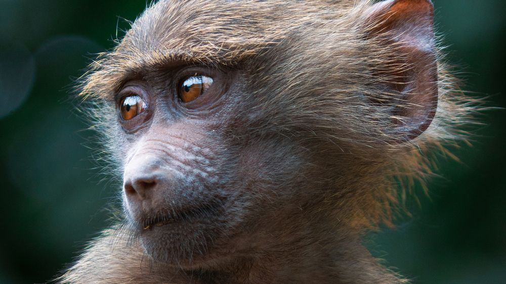 Photograph by Khazov Artem