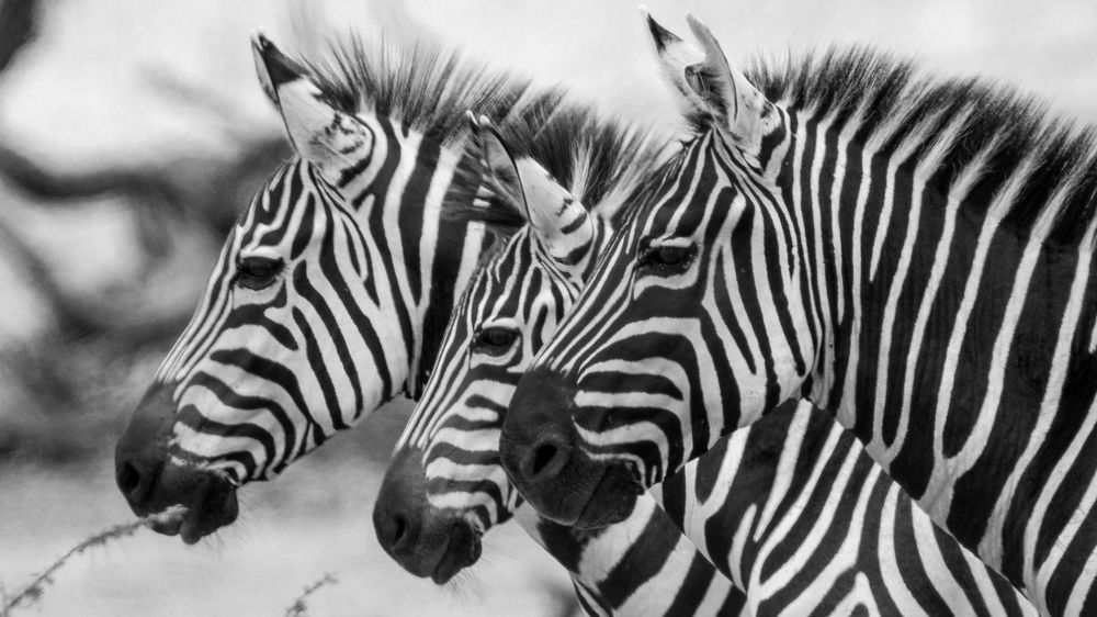 Photograph by Khazov Artem