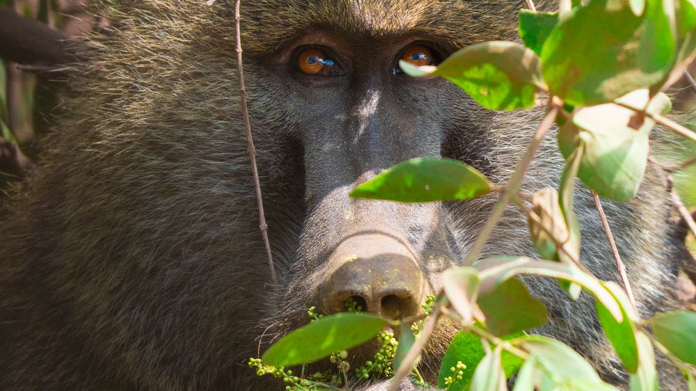 Photograph by Khazov Artem