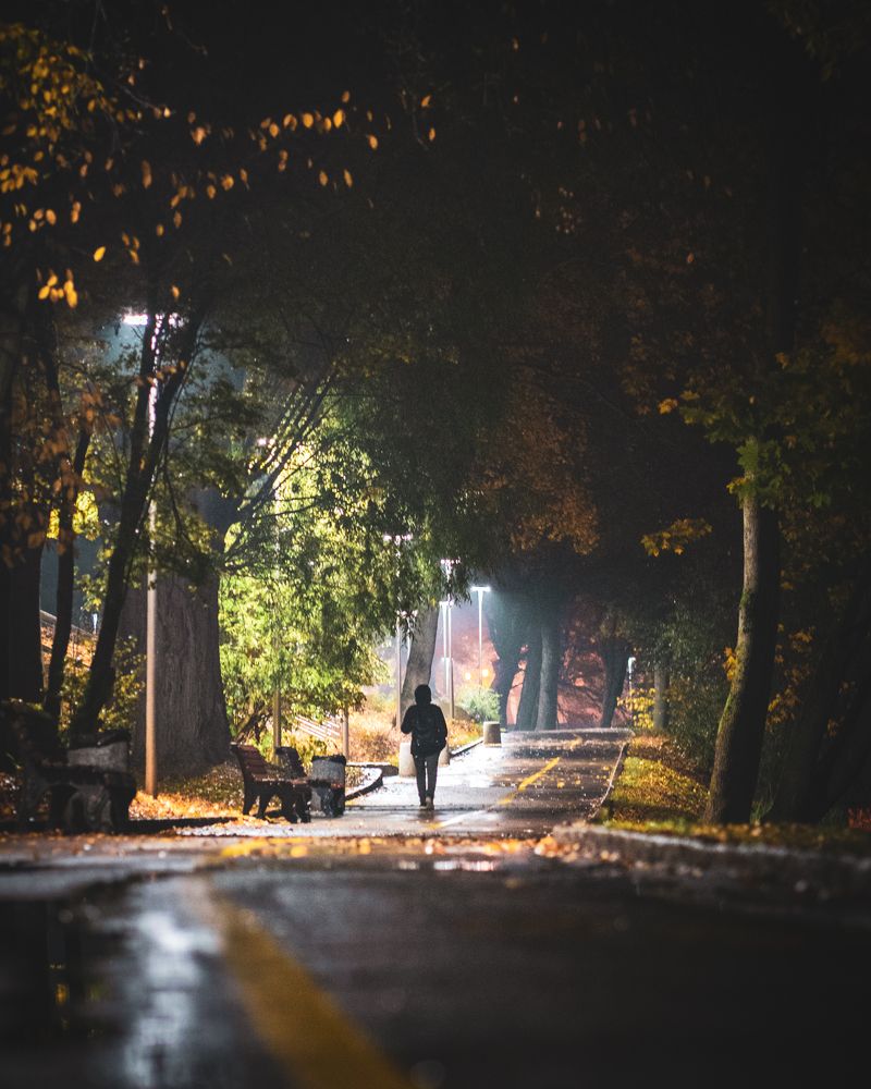 Photograph by Лапшин Алексей