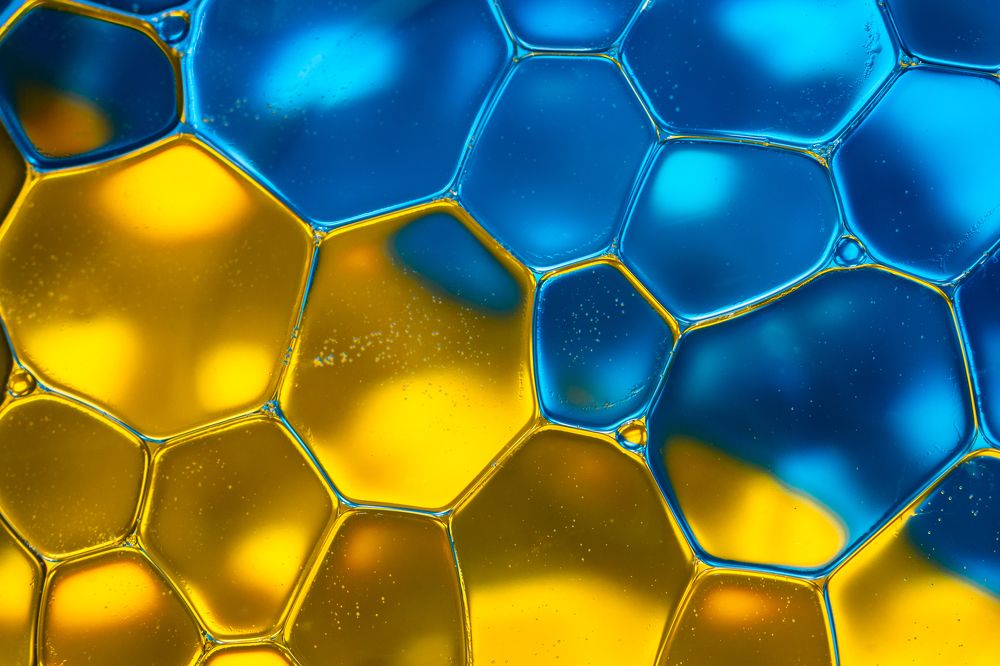 Photograph by Gatis Vilbrants