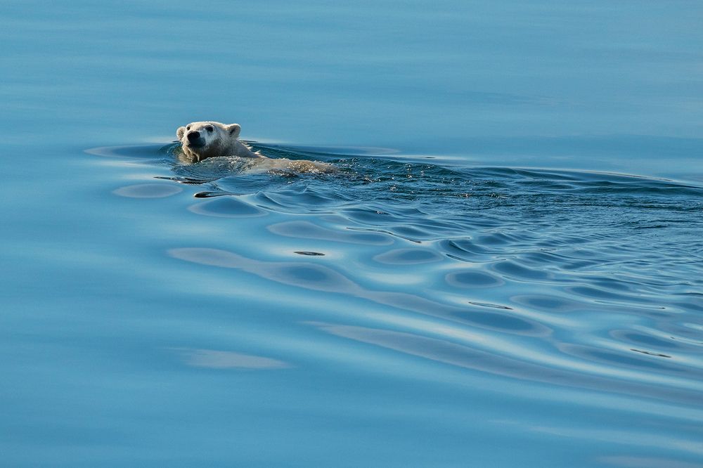 У далёких берегов