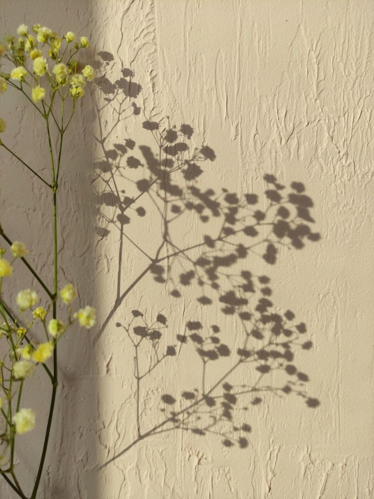 Photograph by Ирина Алексеевская