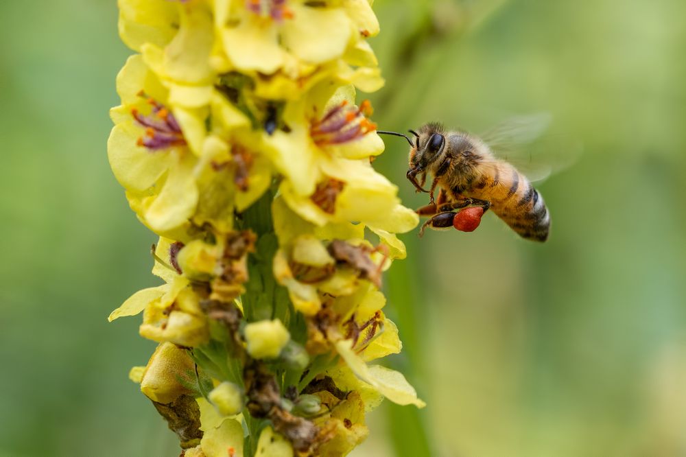 Photograph by Gatis Vilbrants