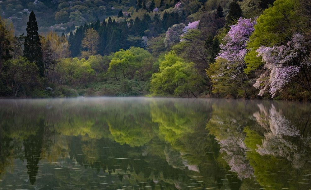 Photograph by VU VAN MINH