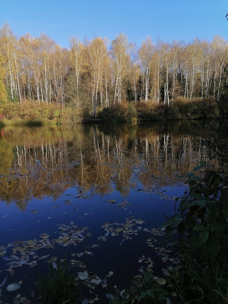 Photograph by Анжелика