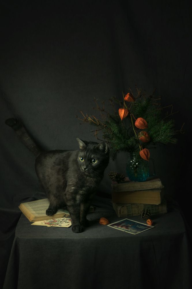 Photograph by Анастасия Фатеева