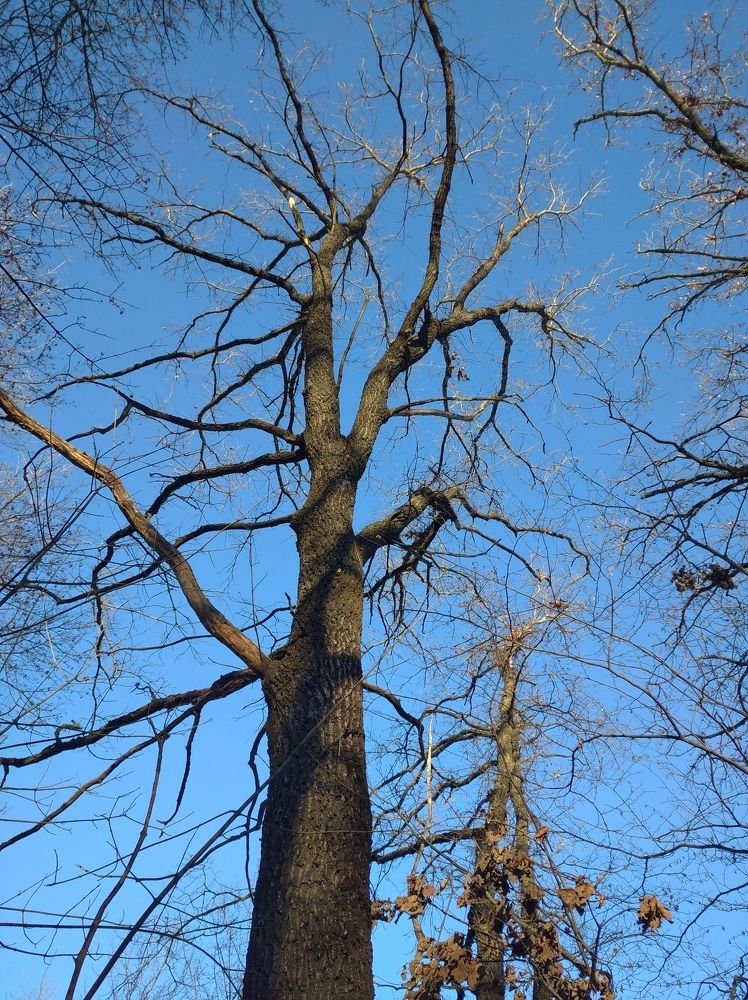 Photograph by Елена Коробченко