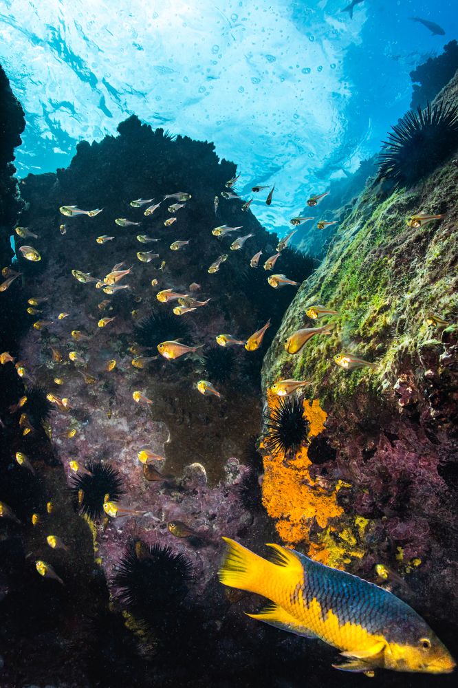 Photograph by Pedro Filadelfo