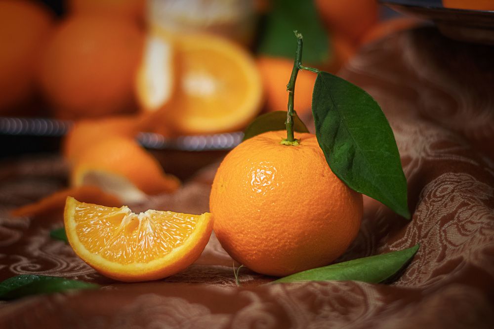 Photograph by sadegh alavi