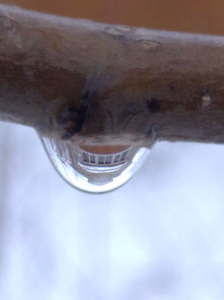 Photograph by Елена Коробченко