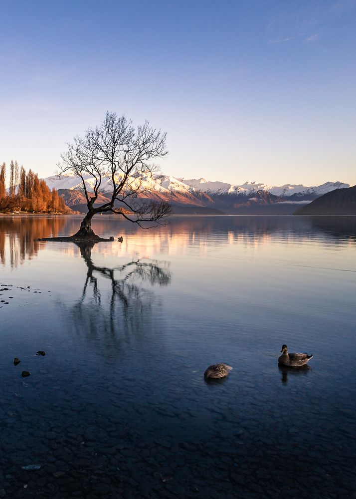 Фотография автора jason lu