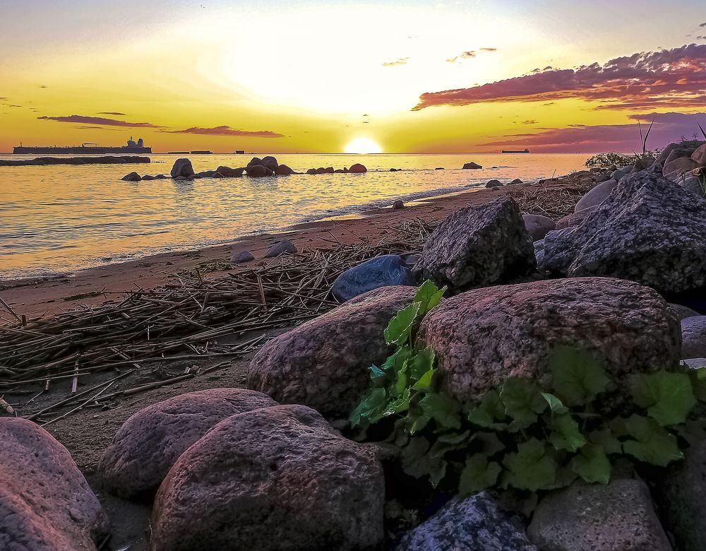 Фотография автора Михаил