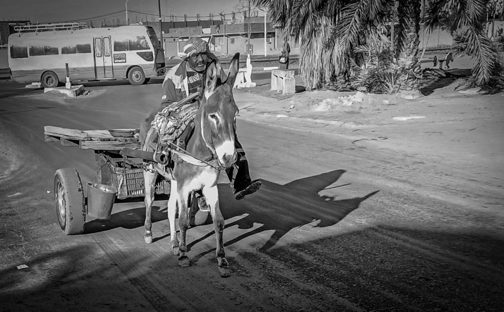 Photograph by Mohammed Faouzi Fethallah