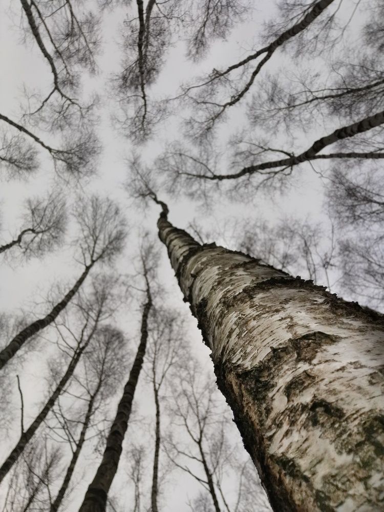 Photograph by Růžena Suchánková