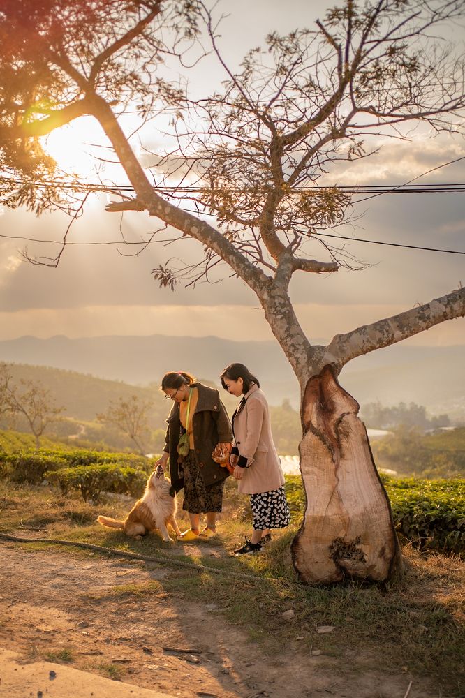 Photograph by Hoai Anh Dang