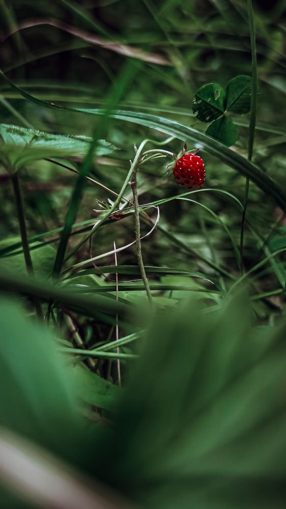 Фотография автора Ангелина