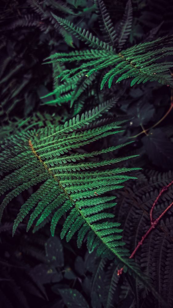 Фотография автора Ангелина