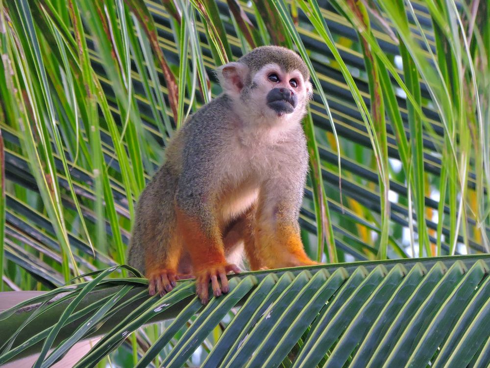 Photograph by Rodrigues Helena