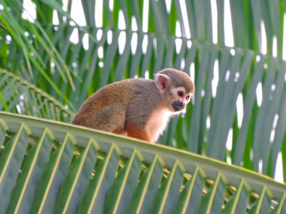 Photograph by Rodrigues Helena