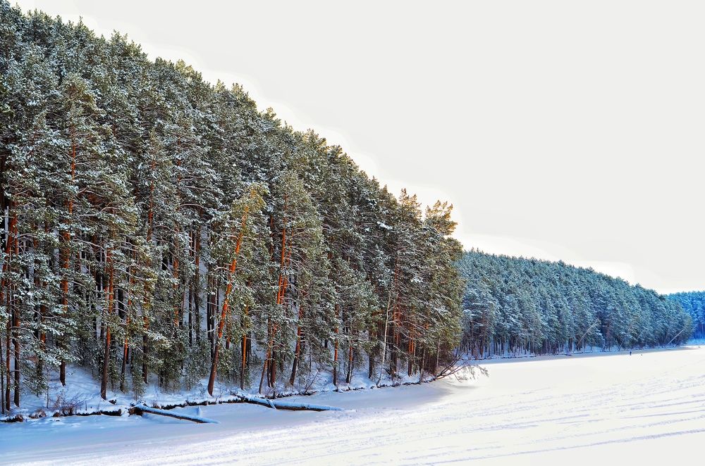Photograph by Максим Солдатенко