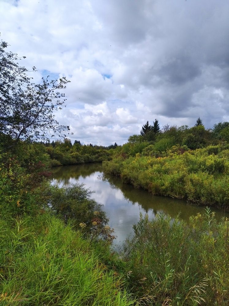 Photograph by Анастасия