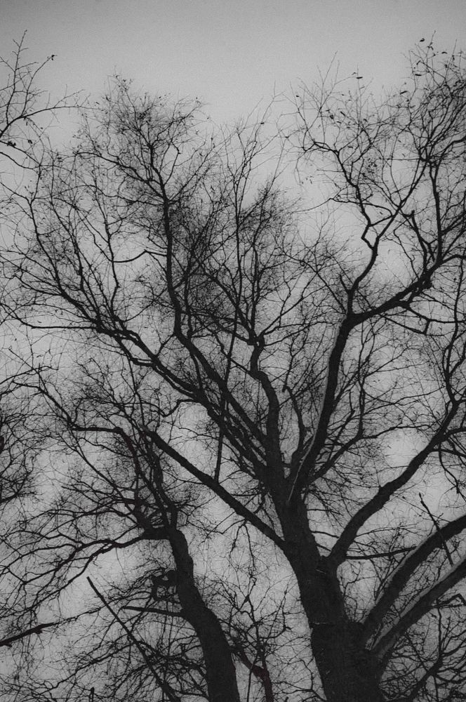 Photograph by Кристина Полякова