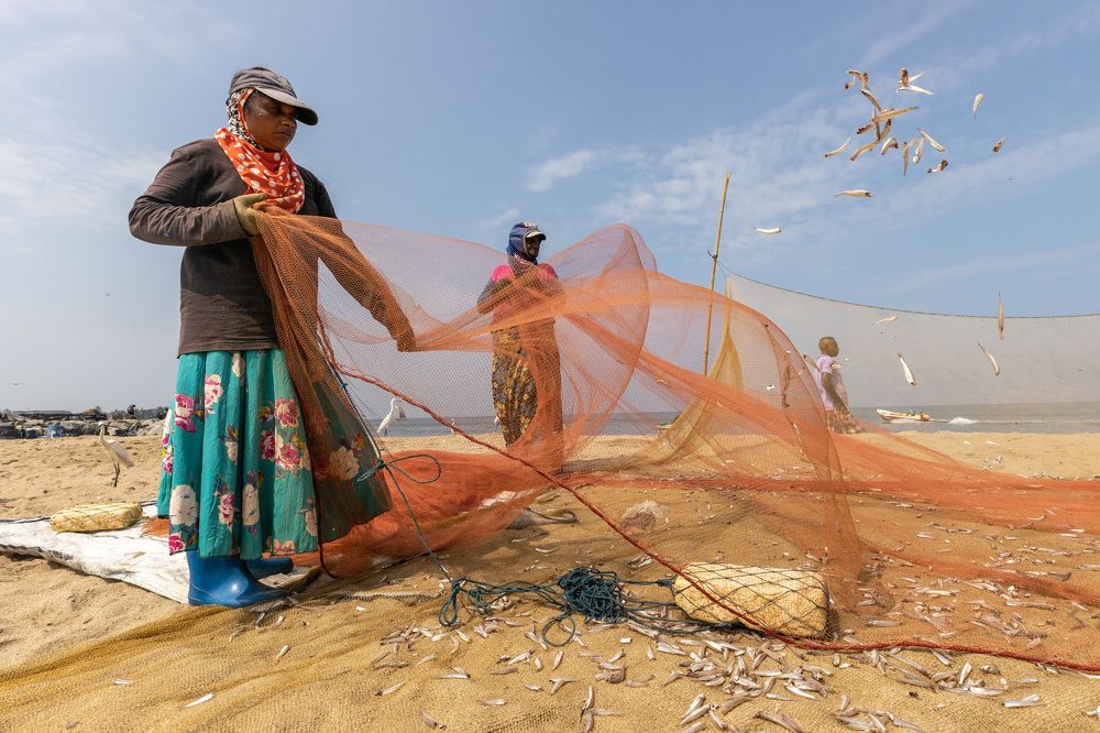 Photograph by Umesh Ranasinghe