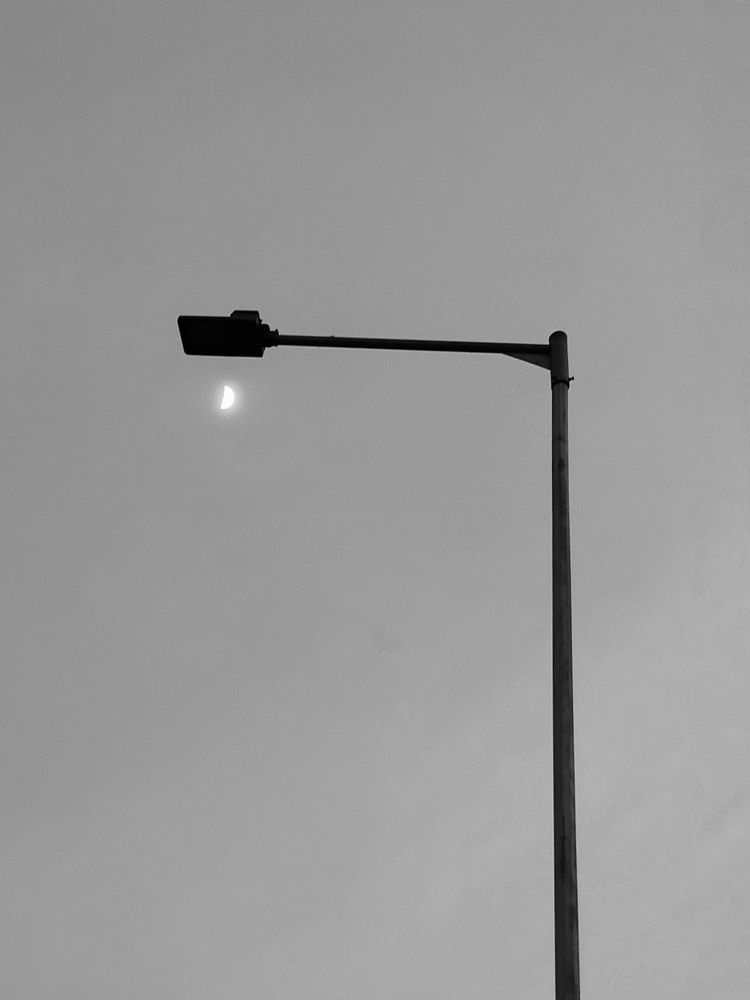 Nature light