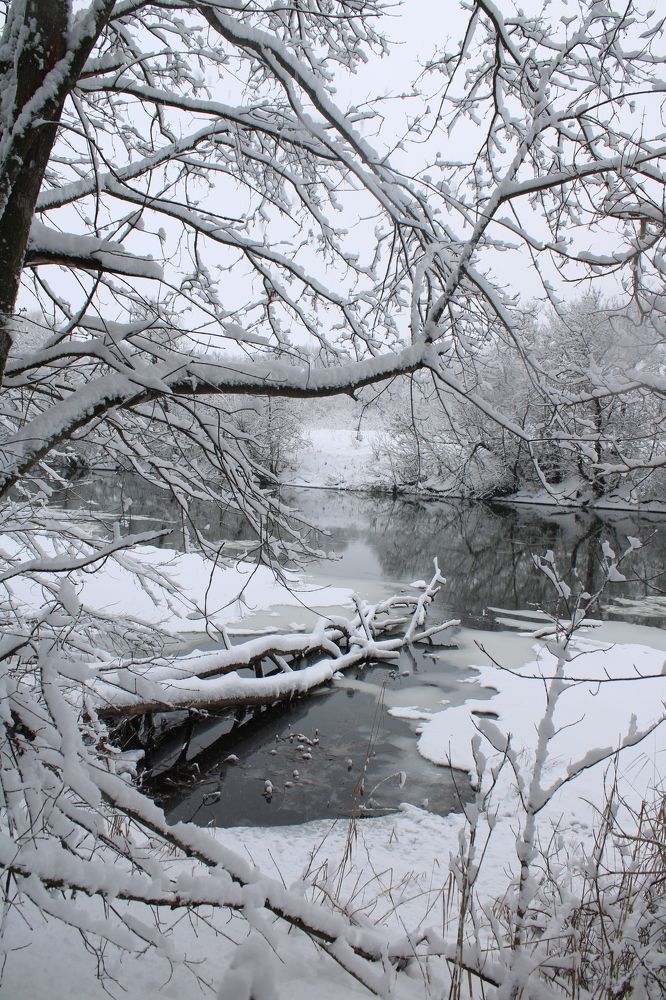 Фотография автора Иван Кириллов