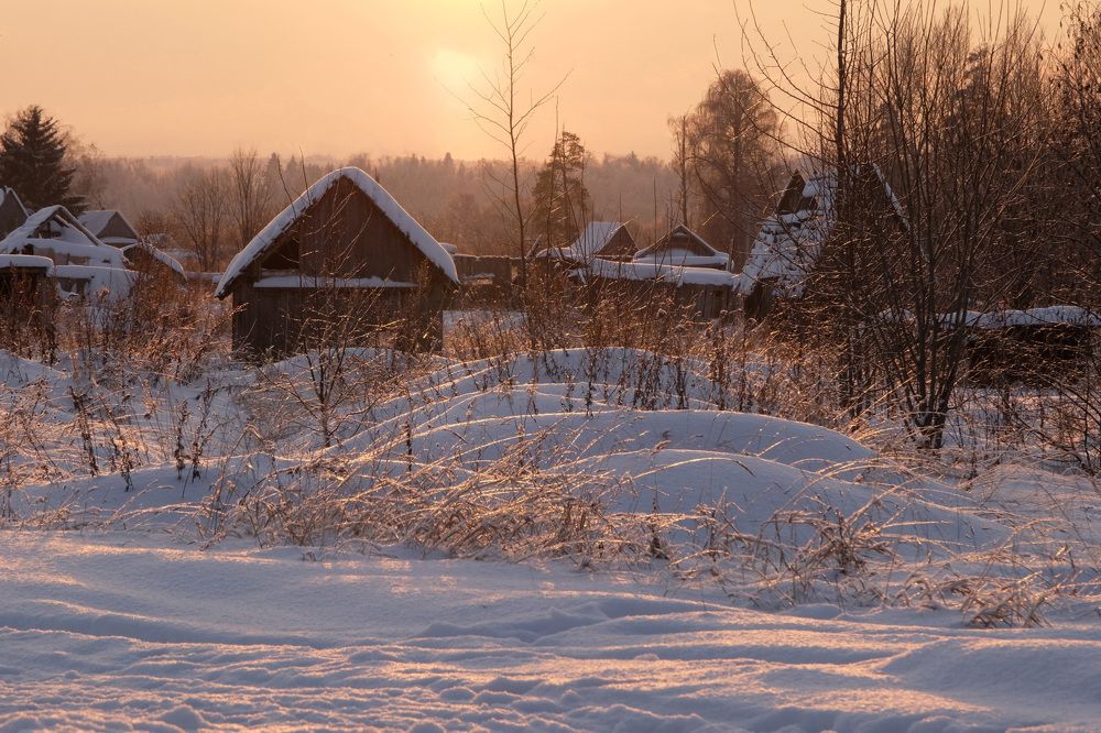 Фотография автора Наталья Липовская