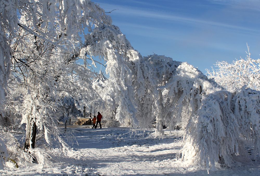 Photograph by Сергей