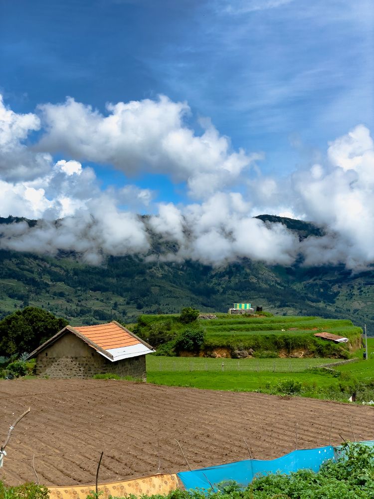 Poondi Village