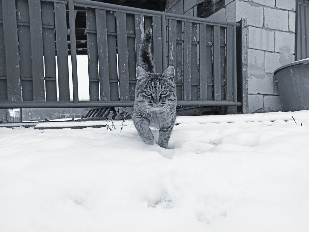 Photograph by Александр Мытько